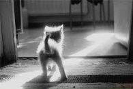 Фотография Уфимцевой Натальи