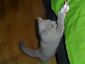 Анна Хоменко фотография #16 (источник - https://vk.com/id3696749)