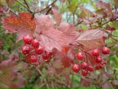 Фотография Матвеева Юрия