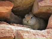 Данил Смирнов фотография #34 (источник - https://vk.com/id532575)