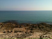 Фотография Смирновой Виктории