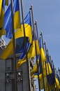 Вероніка Білявська фотография #46 (источник - https://vk.com/id109623200)