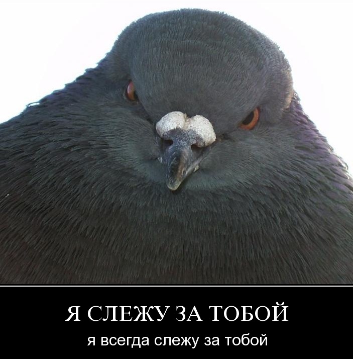 Дима Zzelenyj фотография #14