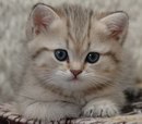 Марія Рудик фотография #50 (источник - https://vk.com/id155416483)