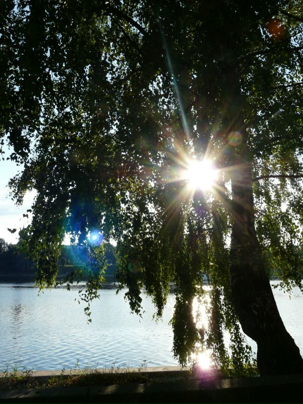 Александр Лебедев фотография #24