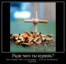 Коля Стрільченко фотография #10 (источник - https://vk.com/id160910495)