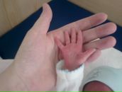 Фотография Токарев Дмитрий