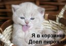 Олена Піщалюк фотография #2 (источник - https://vk.com/id134838445)