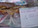 Мария Черненко фотография #26 (источник - https://vk.com/id1372515)