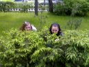 Риммочка :))) фотография #14 (источник - https://vk.com/id12570035)