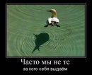 Анатолій Д фотография #40 (источник - https://vk.com/id38993689)