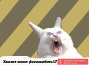 Арсеній Яценюк фотография #20 (источник - https://vk.com/id43491751)