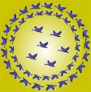 Foolish Creature фотография #45 (источник - https://vk.com/id3454555)