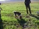 Тарас Білюга фотография #47 (источник - https://vk.com/id13088459)