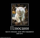 IrkO ♥...ACID...♥ фотография #7 (источник - https://vk.com/id56309414)