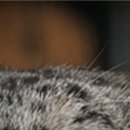 Виктор Арфеев фотография #47 (источник - https://vk.com/id38807040)