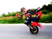 Фотография Конорцева Дмитрия