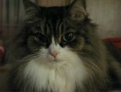 Фотография Бахаевой Нади