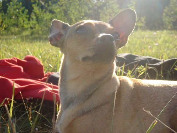  фото №25