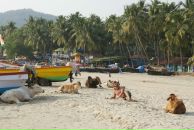 Фотография Мошкова Дмитрия