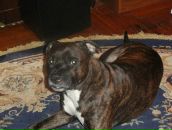 Фотография Галимова Дениса