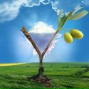 Марія Матієшин фотография #15 (источник - https://vk.com/id54695295)