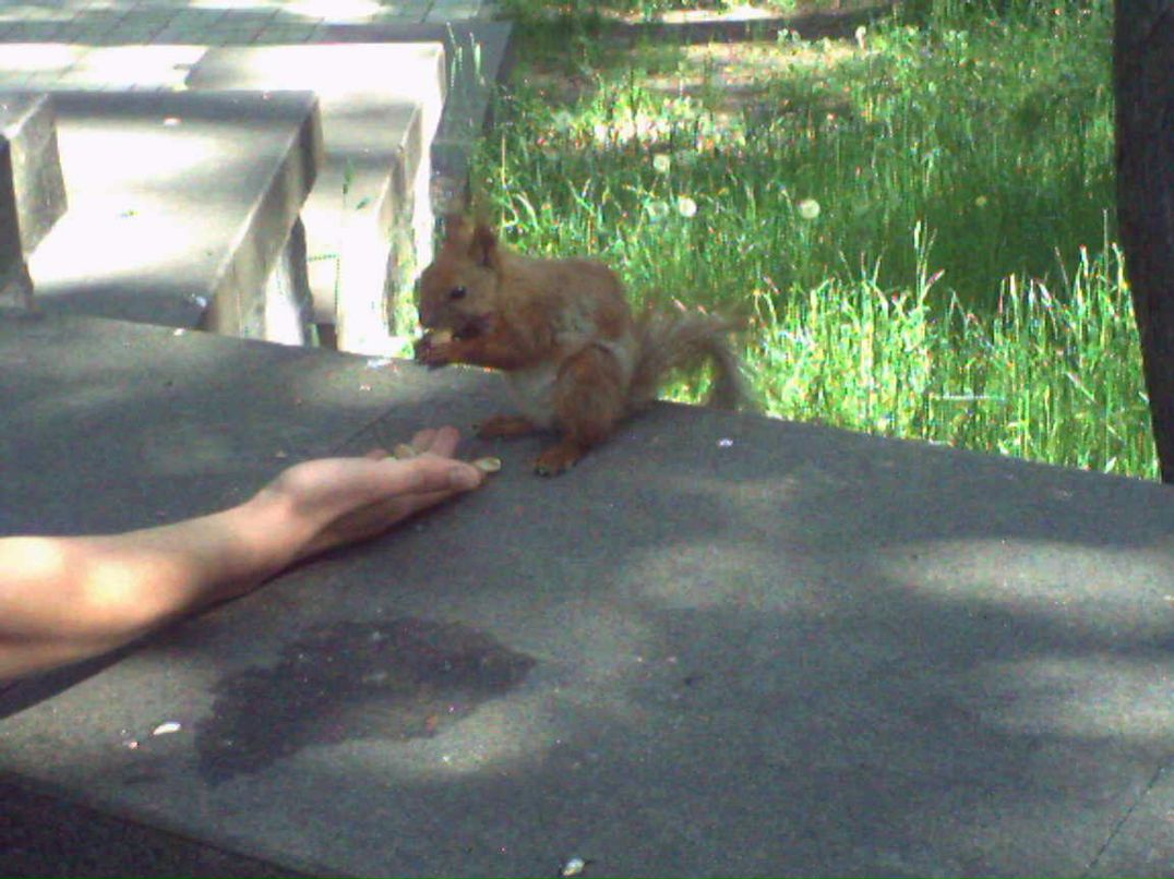 Игорь Будник фотография #23