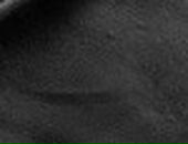 Сергей Осокин фотография #16 (источник - https://vk.com/id26323935)