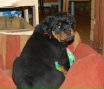 Фотография Бобровой Марии