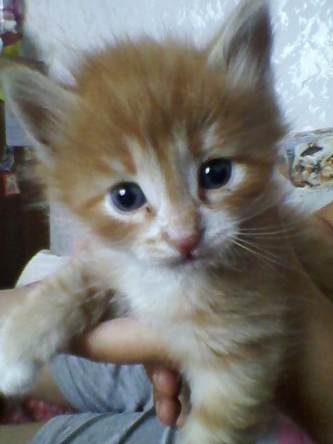 Вика Гагарина фотография #8