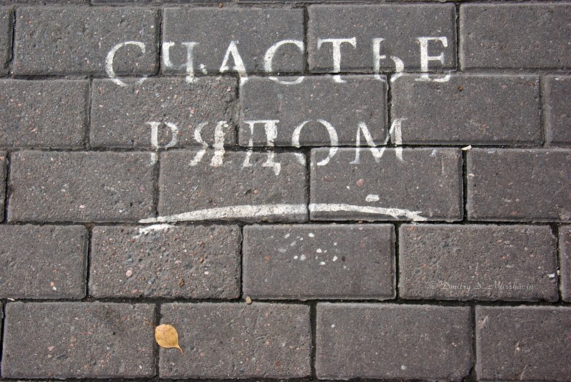 Дарья Пал фотография #18