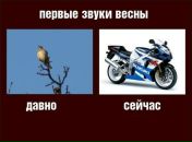 Колян Стафійчук фотография #7 (источник - https://vk.com/id71803050)