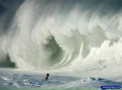 Фотография Мариной Волны