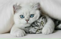 Фотография Рюминой Евгении