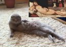 Фотография Юденкова Александра