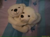 Фотография Курилова Николая