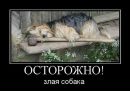 Руслан Канівець фотография #31 (источник - https://vk.com/id36957555)