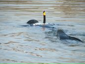 Фотография Жиздринского Евгения