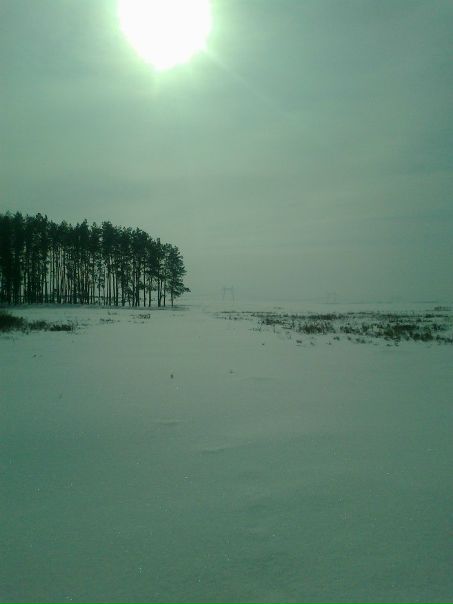 Дима Ковалёв фото №21
