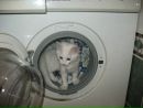 Саша Сучак фотография #25 (источник - https://vk.com/id169458393)