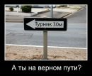 Міша Погребняк фотография #49 (источник - https://vk.com/id179380900)