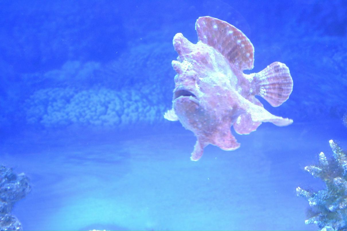 Иван Сотников фотография #33