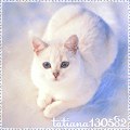 Маріша Гамак фотография #1