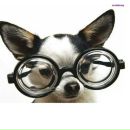 Маринка Погорільська фотография #6 (источник - https://vk.com/id90912151)