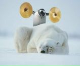 Фотография Овчинникова Ивана