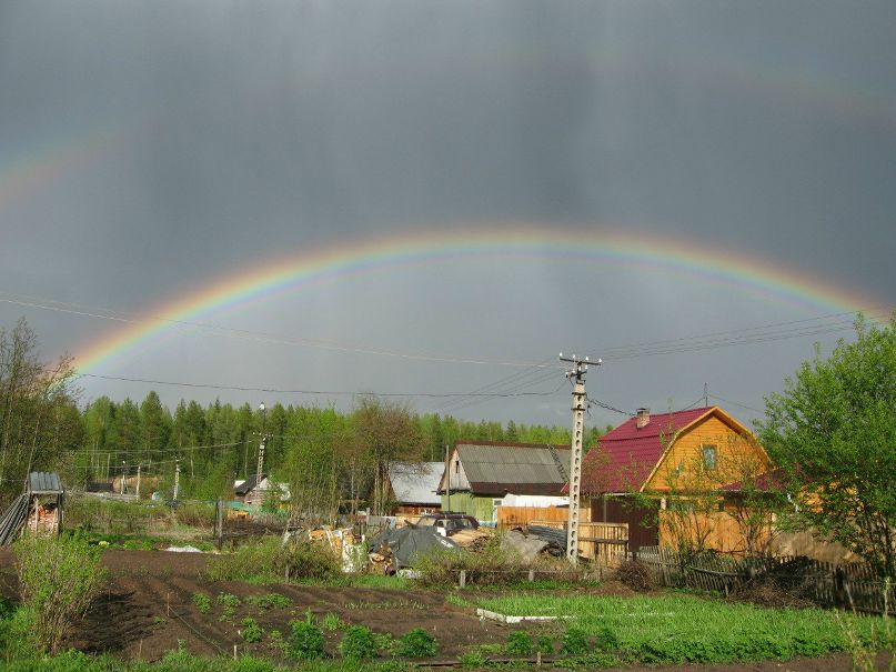 Леонид Никитин фотография #14