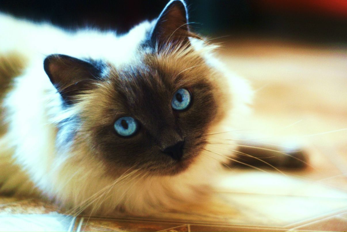 Оля Леонова фотография #44