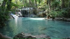 Анна Матвеенко фотография #27 (источник - https://vk.com/id982526)