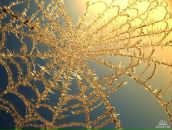 Фотография Мирошкиной Татьяны