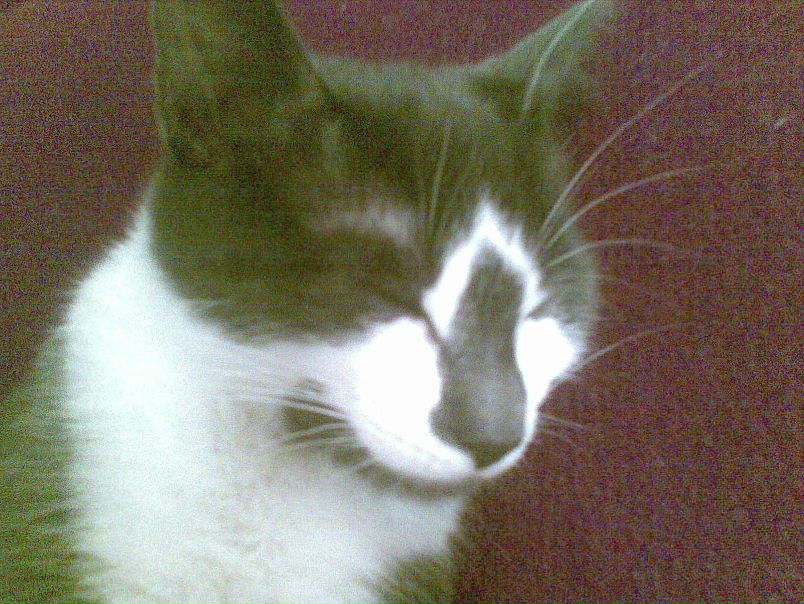 Дмитрий Федотов фото №2